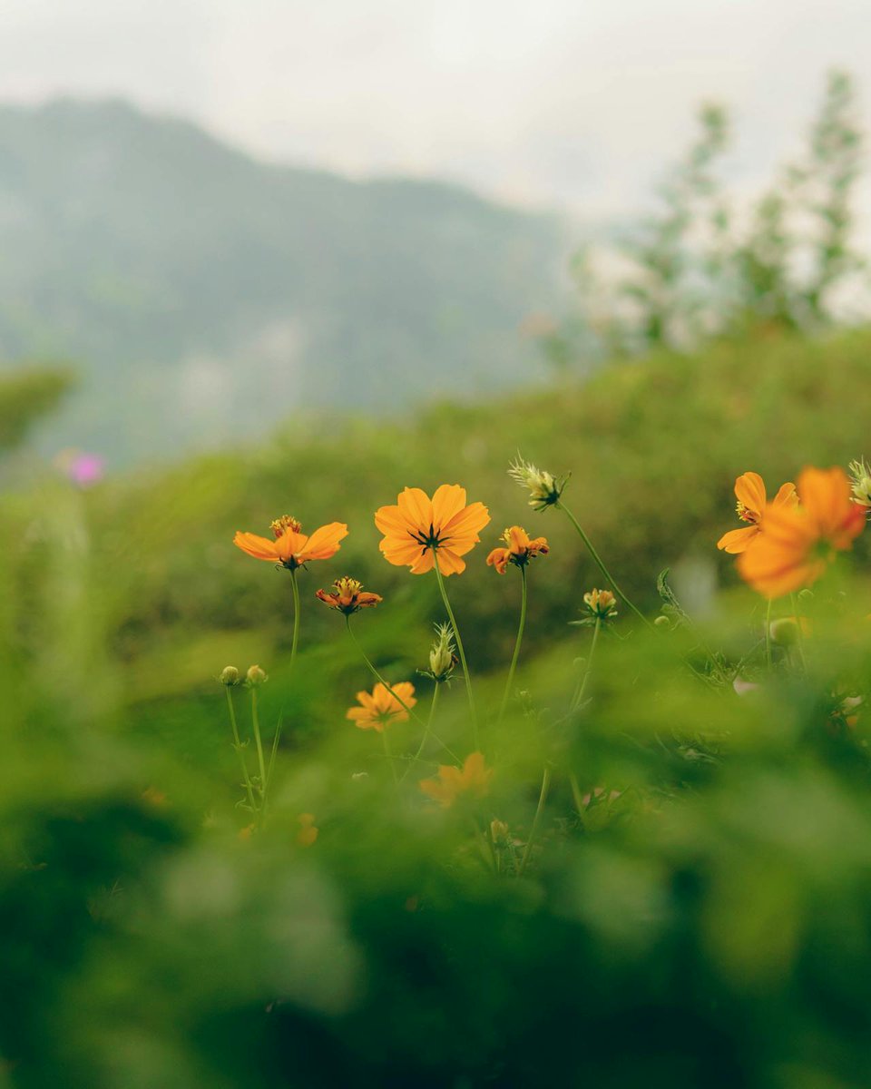 You have a special place and a special purpose in being here. No one can take your place in life or in the universe.