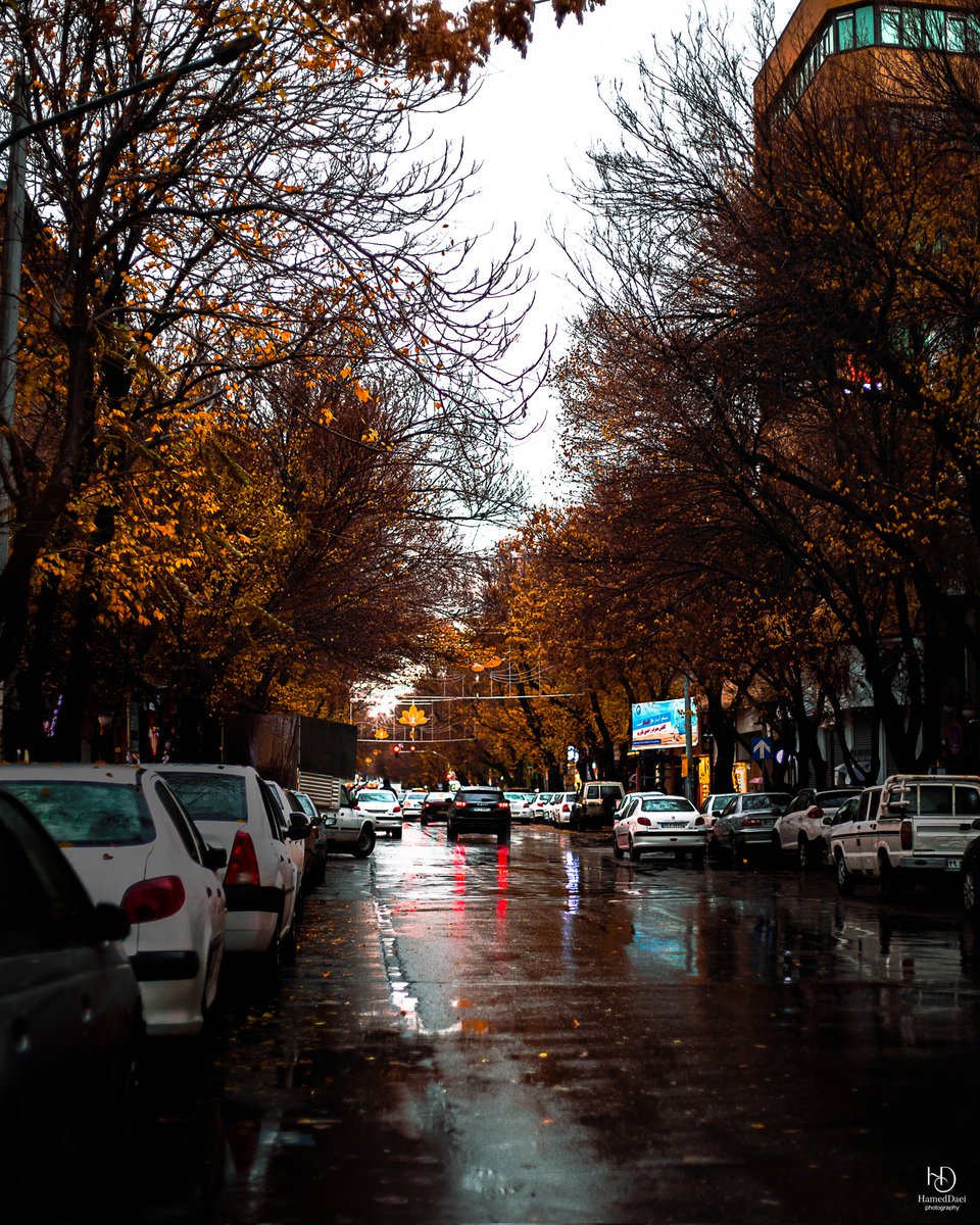 دایی tweet media