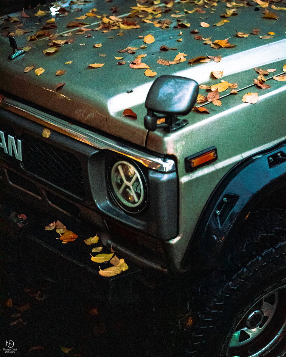 دایی tweet media