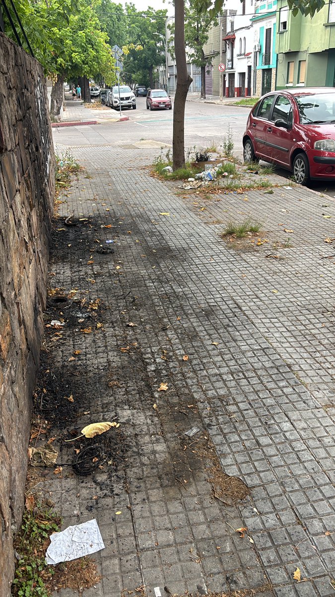 Martin Torres tweet media