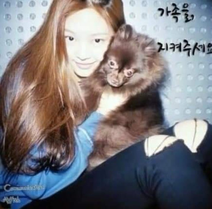 yk2aii's tweet image. #JENNIE is a member of the "PROTECT OUR FAMILY" since 2017 an abandoned dog shelter where she donates food &amp;amp; medicine, we didn't hear about it until the shelter posted photos of its members.