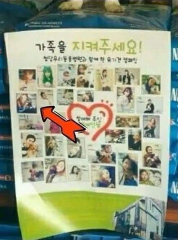 yk2aii's tweet image. #JENNIE is a member of the "PROTECT OUR FAMILY" since 2017 an abandoned dog shelter where she donates food &amp;amp; medicine, we didn't hear about it until the shelter posted photos of its members.