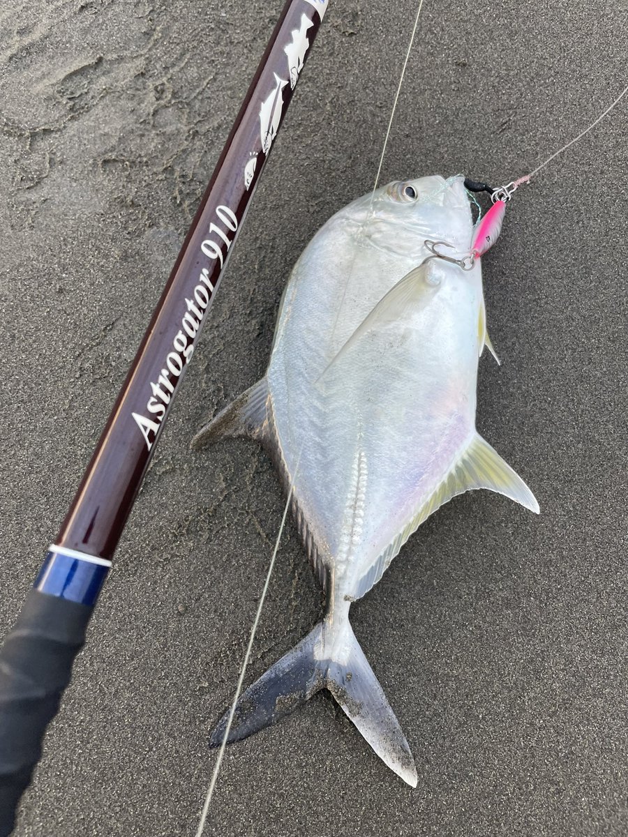 Ridgeline official (@ridgeline_tw) / Posts / X