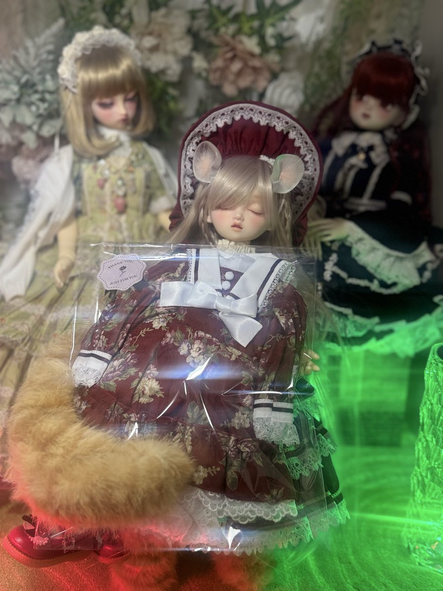 panna🍄🤍 (@ph72182887) / Posts / X