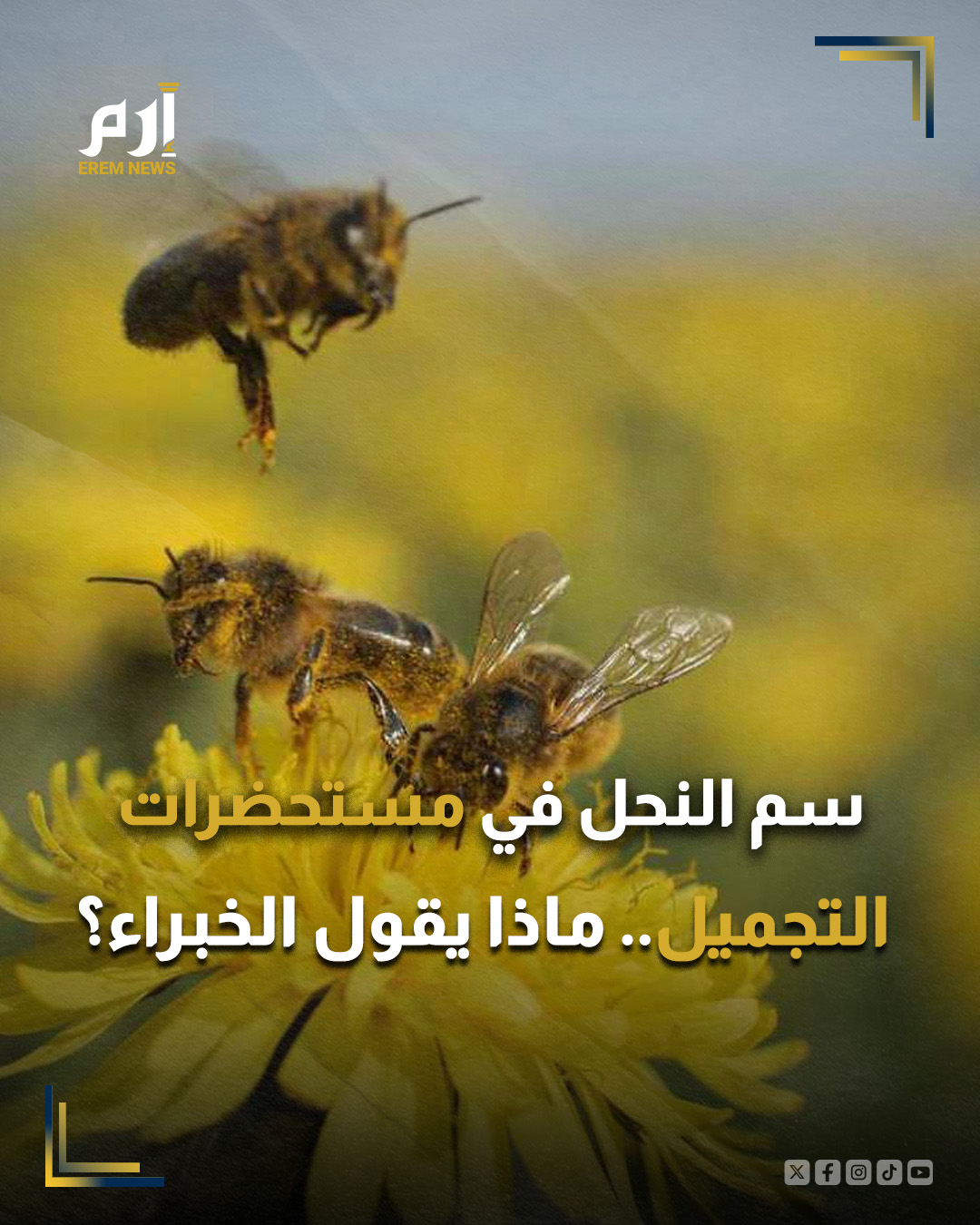 في السنوات الأخيرة، حظي سم النحل باهتمام في عالم التجميل، حيث تزعم بعض المنتجات أنه يمكنه شد البشرة، وتقليل التجاعيد الدقيقة، وتعزيز إنتاج الكولاجين، وتقديم فوائد مضادة للالتهاب. ويؤكد محبو هذه المكونات أنها تمنح تحسنًا واضحًا في مظهر البشرة، ما يجعلها إضافة شائعة في الكريمات، والأقنعة، والسيروم.. : 