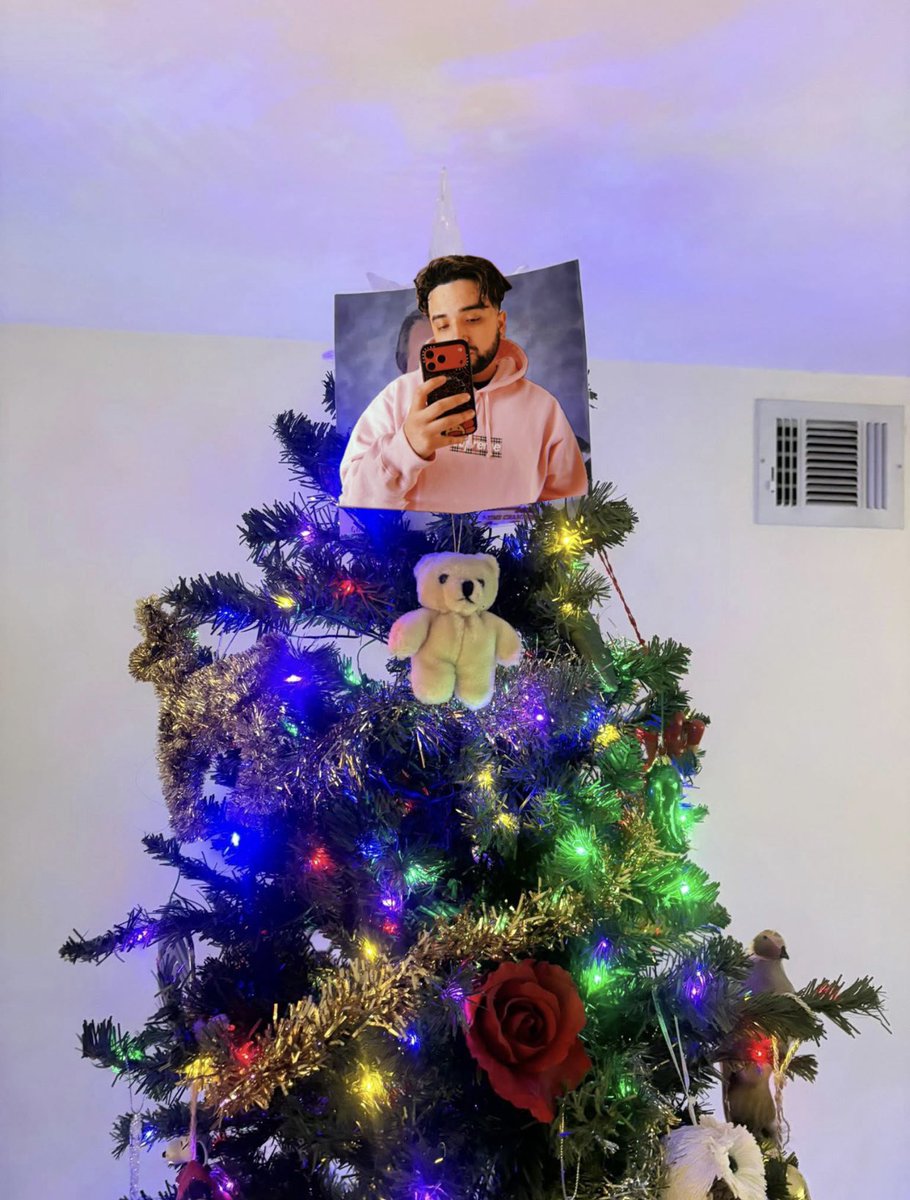 LunarSamR's tweet image. finally put my star on top of the tree ❤️