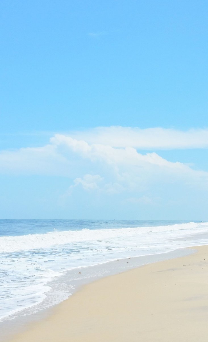 httpkatty's tweet image. おはよー やる気でない😪。本屋さん寄りたい📚。自分のペースでいこ😊 ☀️ 🐨