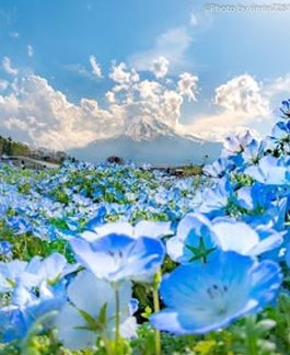 Hunor90's tweet image. おはよ〜今日もがんばろ 気分最高！けどコンビニ行ってくる！ 🛍️ 🐝