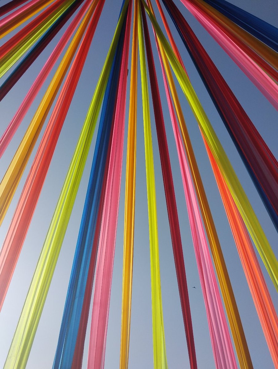 Programming Memes tweet media