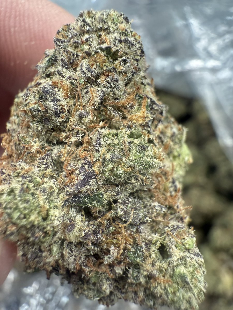 HeySebz's tweet image. After 6 months of curating, hunting, sampling, trial and error both with product and producers, and lord knows how many FaceTime calls coupled with money spent 

I finally have my own strain. Stay tuned. 
Miami. 🍊 🩶