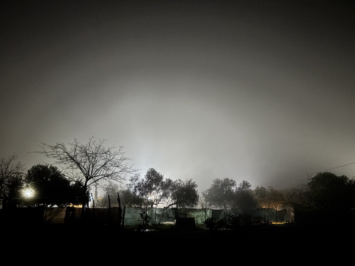 José Paneque tweet media