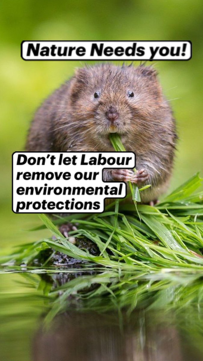 Great now listen to <a href="/CIEEMnet/">CIEEM</a> <a href="/WCL_News/">Wildlife and Countryside Link</a> <a href="/WildlifeTrusts/">The Wildlife Trusts</a> <a href="/CHinchliffMP/">Chris Hinchliff MP</a> <a href="/CommunityPlann1/">CommunityPlanningAlliance 🦇🦎</a> and environmental campaigners like myself and say no to weakening habitats regulations and BNG. Our endangered species are animals too! Their welfare matters.