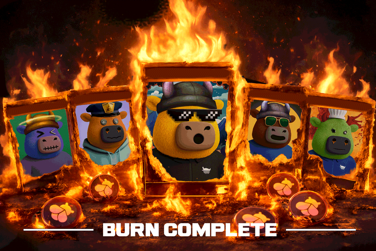 RiP 60 Booga Bullas

(18 days post launch)