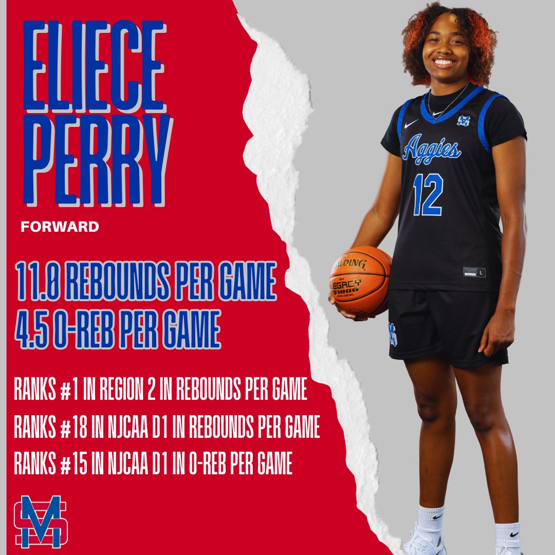 𝐌𝐒𝐂 𝐖𝐨𝐦𝐞𝐧𝐬 𝐁𝐚𝐬𝐤𝐞𝐭𝐛𝐚𝐥𝐥 tweet media