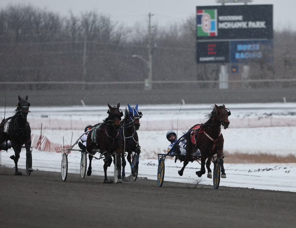 Multiple Carryovers for Boxing Day <a href="/WoodbineSB/">Woodbine Mohawk Park</a>!

Pick 5 ➡️ $53,161
Pick 6 ➡️ $7,022

🔗| woodbine.com/mohawk/mohawk-…