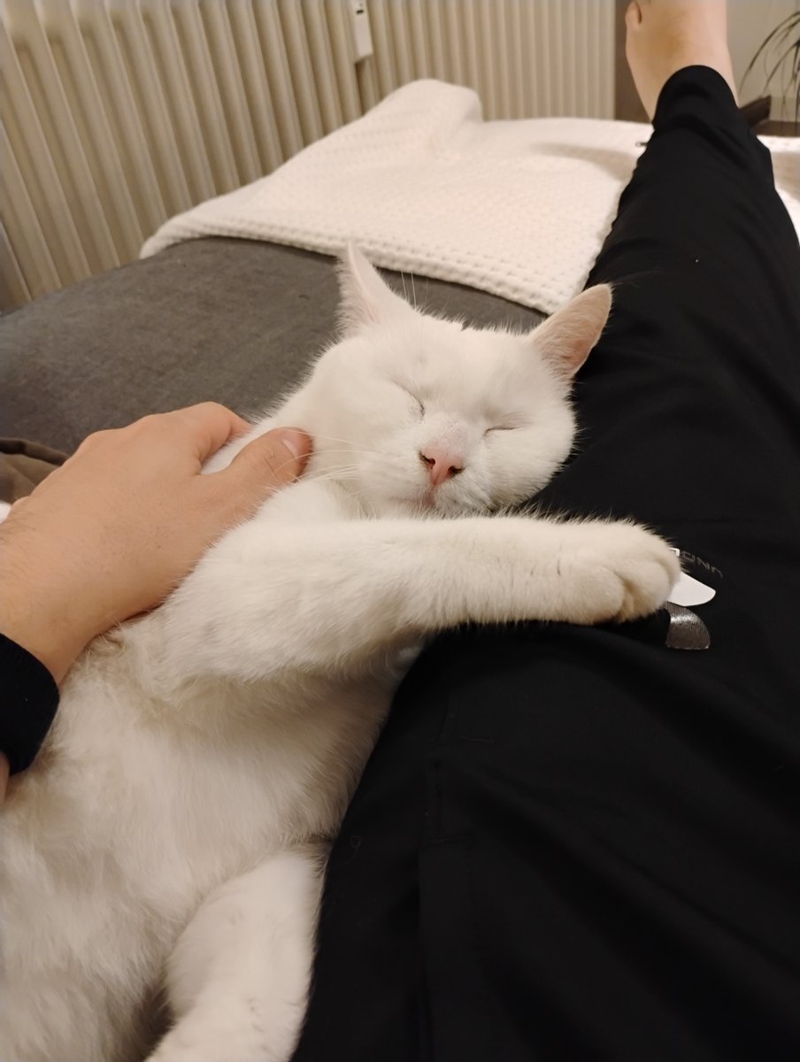 Now hush, little baby, don’t you cry..
Everything’s gonna be alright!