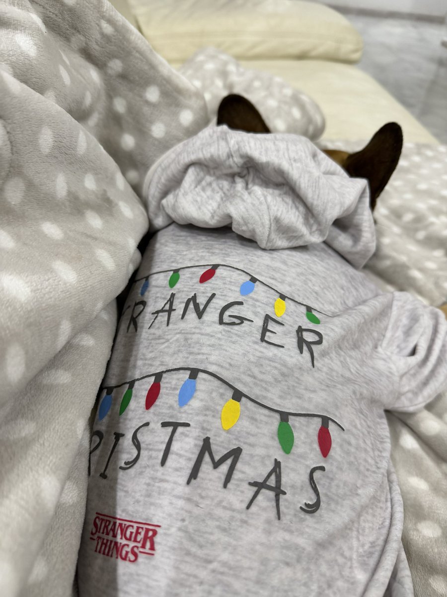 celluzzi's tweet image. ✨♥️