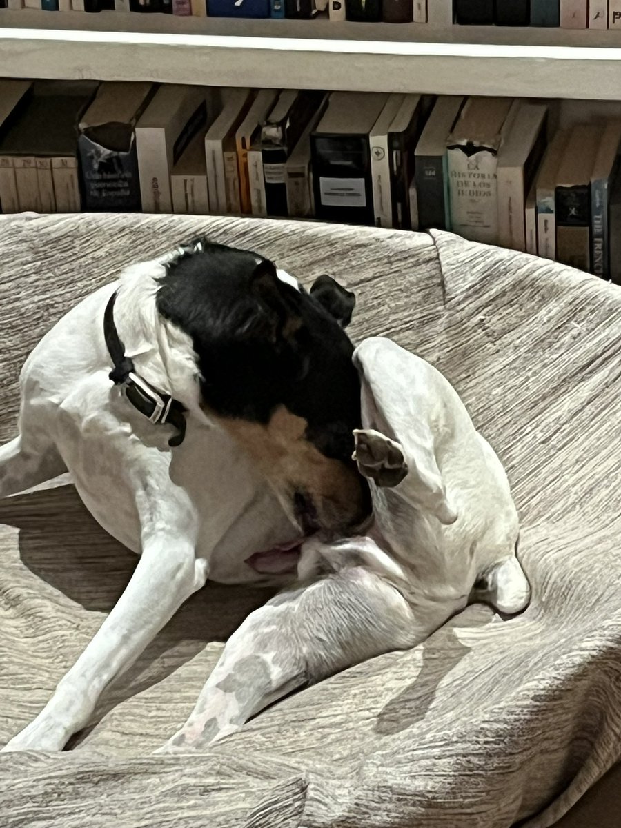 Dedicado a <a href="/montano/">Ing. Miguel Montano</a>, que me estará escuchando.