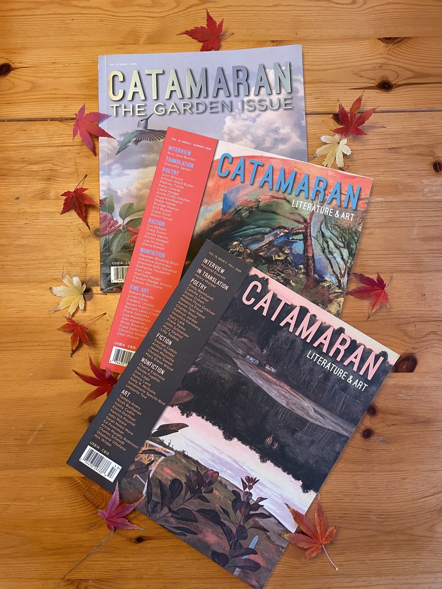 Catamaran Lit tweet media