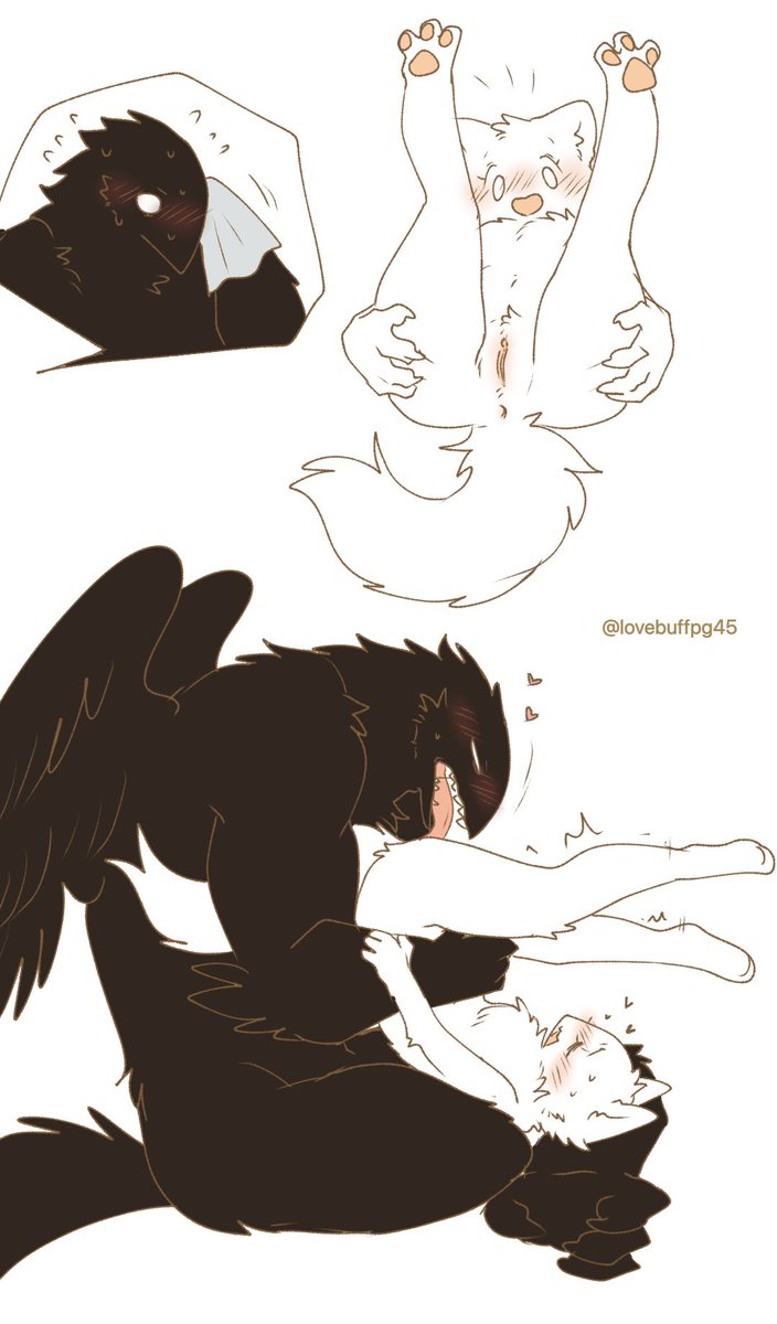 ぺguー🔞 tweet media