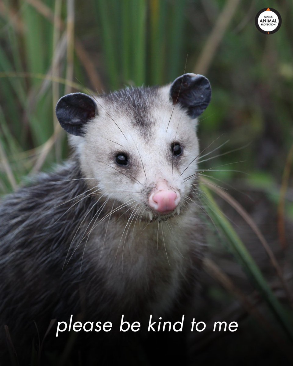 MoveTheWorldUS's tweet image. It's so easy to be kind.