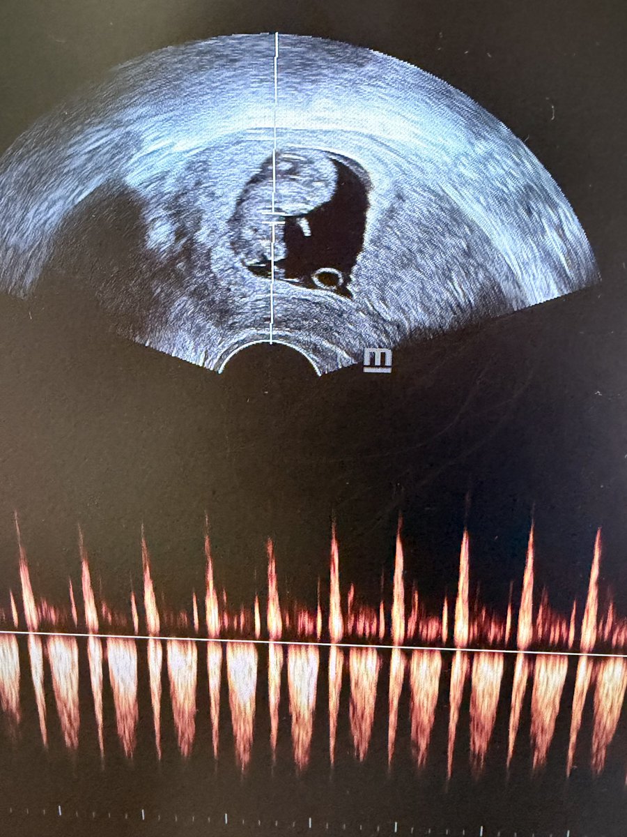 Dra Güera tweet media