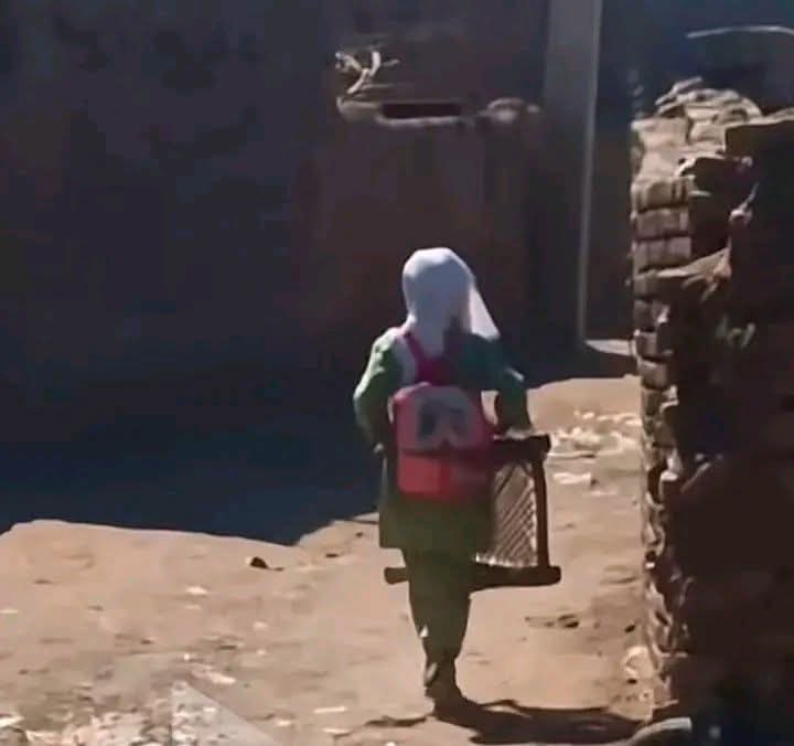 من القُرّاصة ولي قَرّاصا
حلة تعافر ومقطوع راسا
عشرين كيلو من الجابرية 
صِبية تساسق بي كراسا
آ الجابرية عذابك فينا 
لاكي القرية.. ولاكي مدينة
وحد ما نشوفلنا مسعولين
مسعولين أو خواجات
نجري نلم قدحاتنا عليها 
ترطن ترجع زي ما جات
الشفخانة وعايزة دراسة
مدرسة وسطى وإجراءات