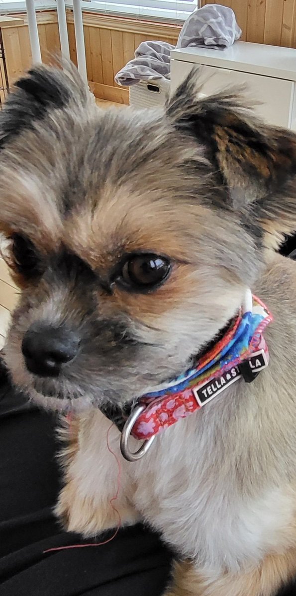 Blessing your timeline with my baby ❤️‍🔥