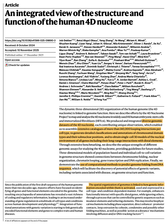 NikoMcCarty's tweet image. Many people think of the genome as a string of "letters." The human genome, say, has 3.2 billion base pairs of DNA organized across 23 pairs of chromosomes.

But the genome is a 3D object. Genes located on entirely different chromosomes might be clustered together. Mutations in…