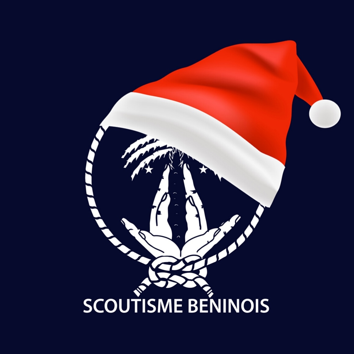 Scoutisme Béninois tweet media