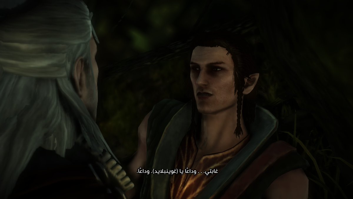 #TheWitcher2
اخخخ الله يعين ياخويي 
(ماسولفت معه الا مرتين)