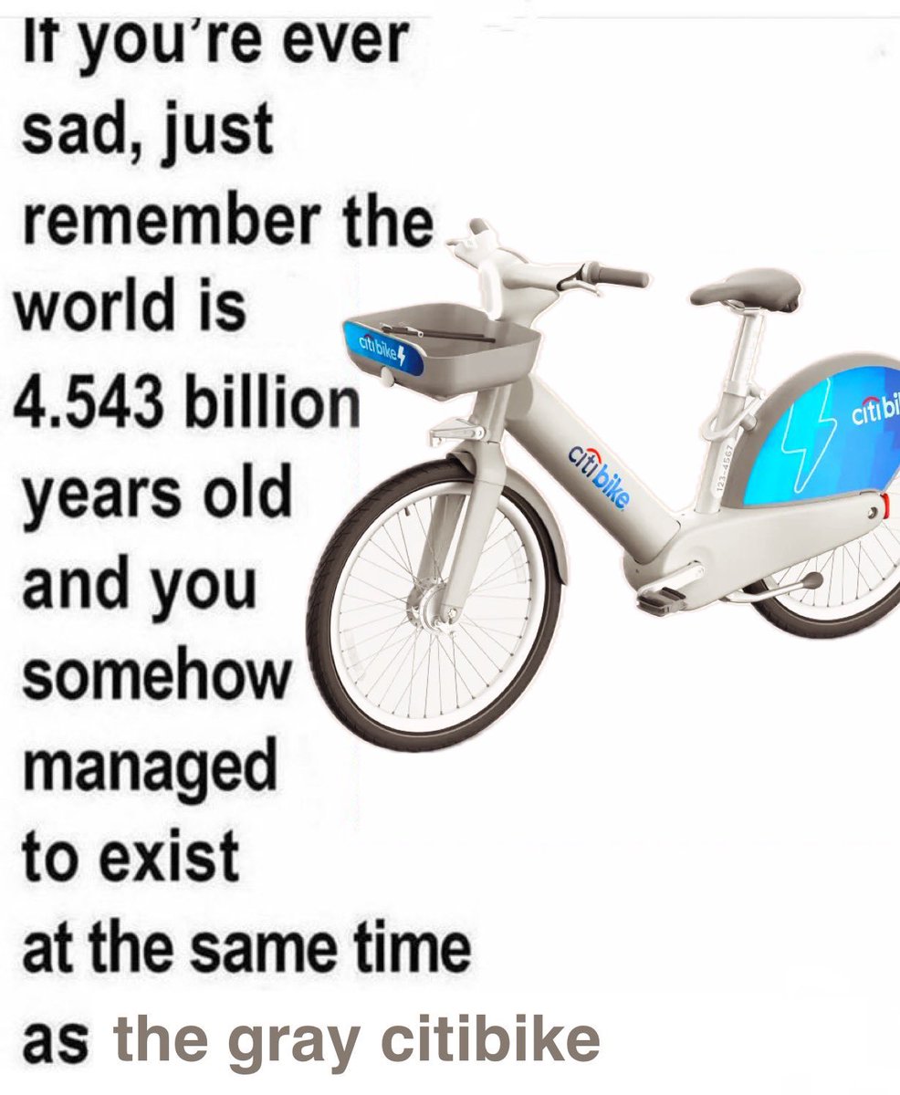 silver surfers forever