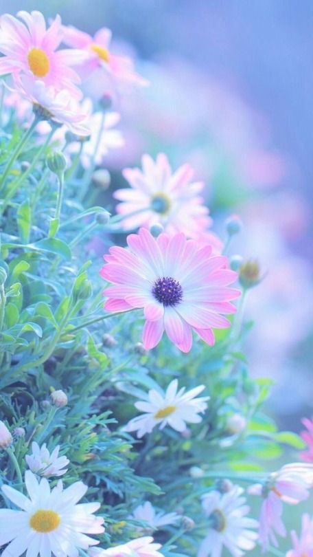 I'm Smart (@smat2ya) on Twitter photo 