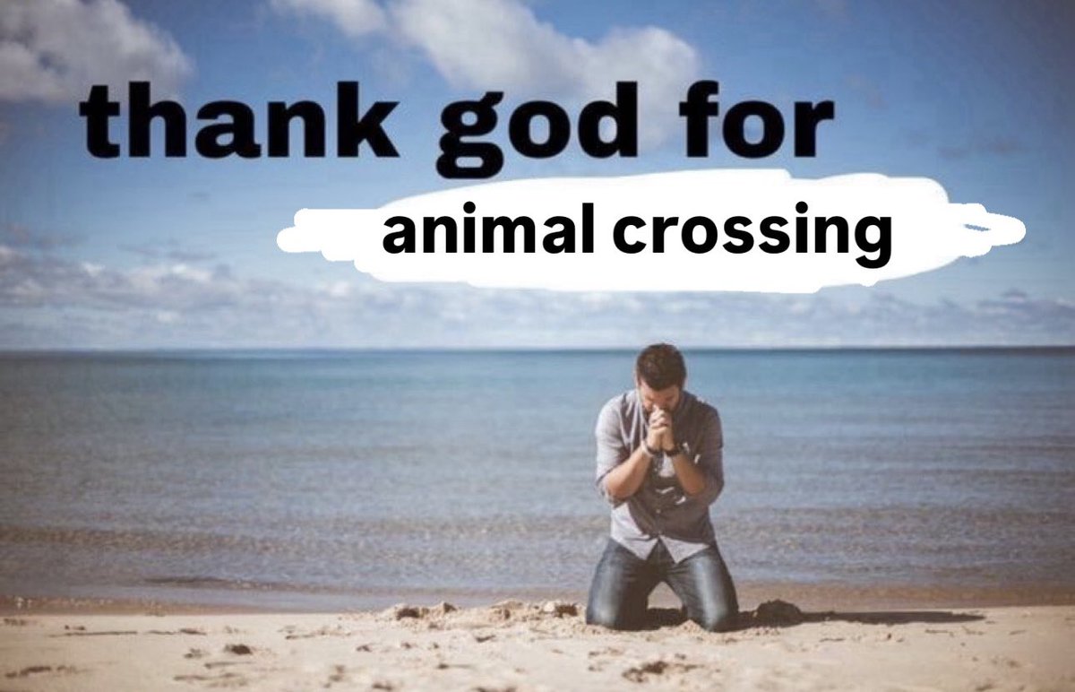 ihavebrewster's tweet image. 