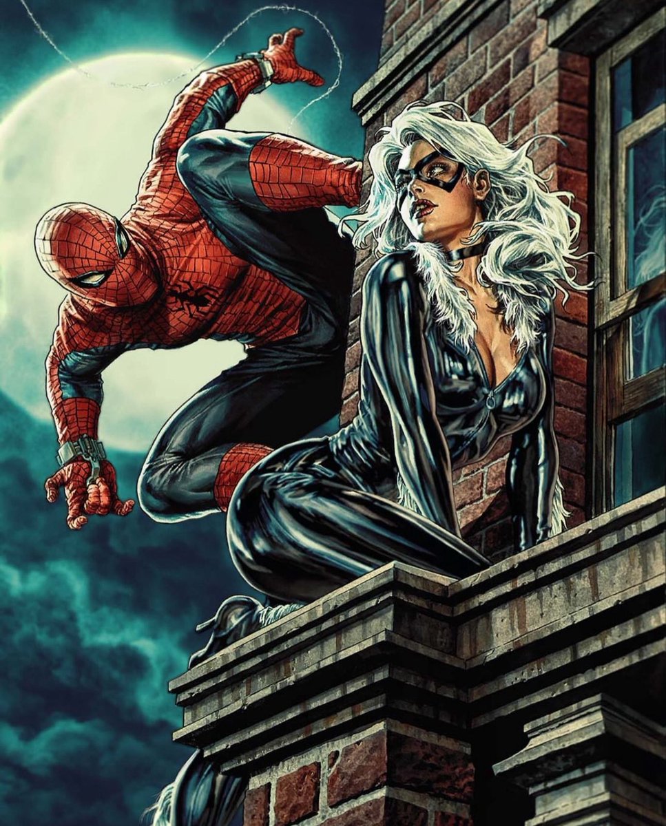 patthewatcher's tweet image. Spider-Man &amp;amp; Black Cat

Artwork by: Lee Bermejo