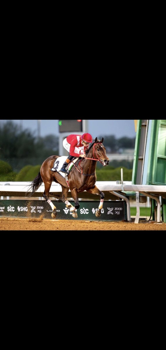 محلل الميدان الحصري المدرب الواعد والمميز عبدالله الجحلان🟦
يستبق الجميع ويضع نجومه المرشحين في اجمل سباقات الشتاء💥🐎💥

جياد افتقدناها في مهرجان الأمراء والملوك 🐎 🏆
صياح
بونو 
المدعجي  
جاك ريد كلاود 
ووتن صن
تاج بلادي 
فاينل دستنيشن
ديفنديد
جده بيتش

إثارة ندية تقارب في