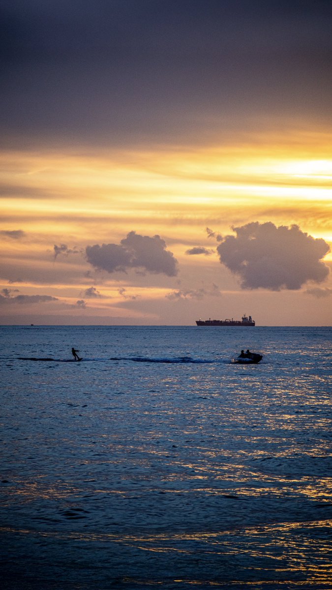 willustrator's tweet image. To all my crypto folks

How is winter going?