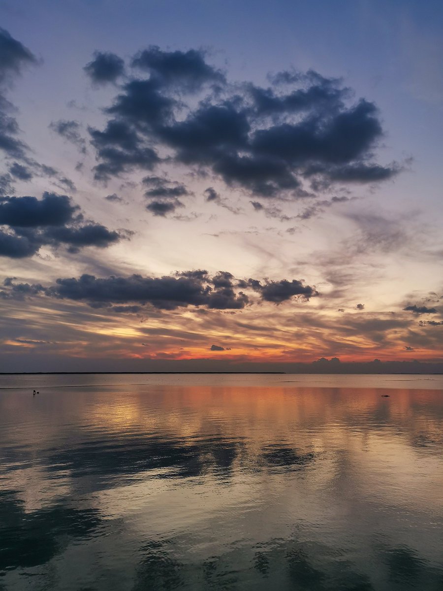 نبيه (@mohamednabih72) on Twitter photo 