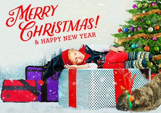 Red Oxx (@redoxxaffairs) on Twitter photo 