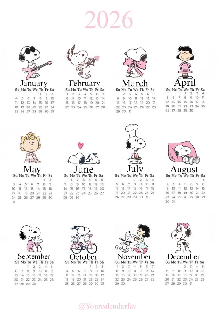 🩷 𝟐𝟎𝟐𝟔