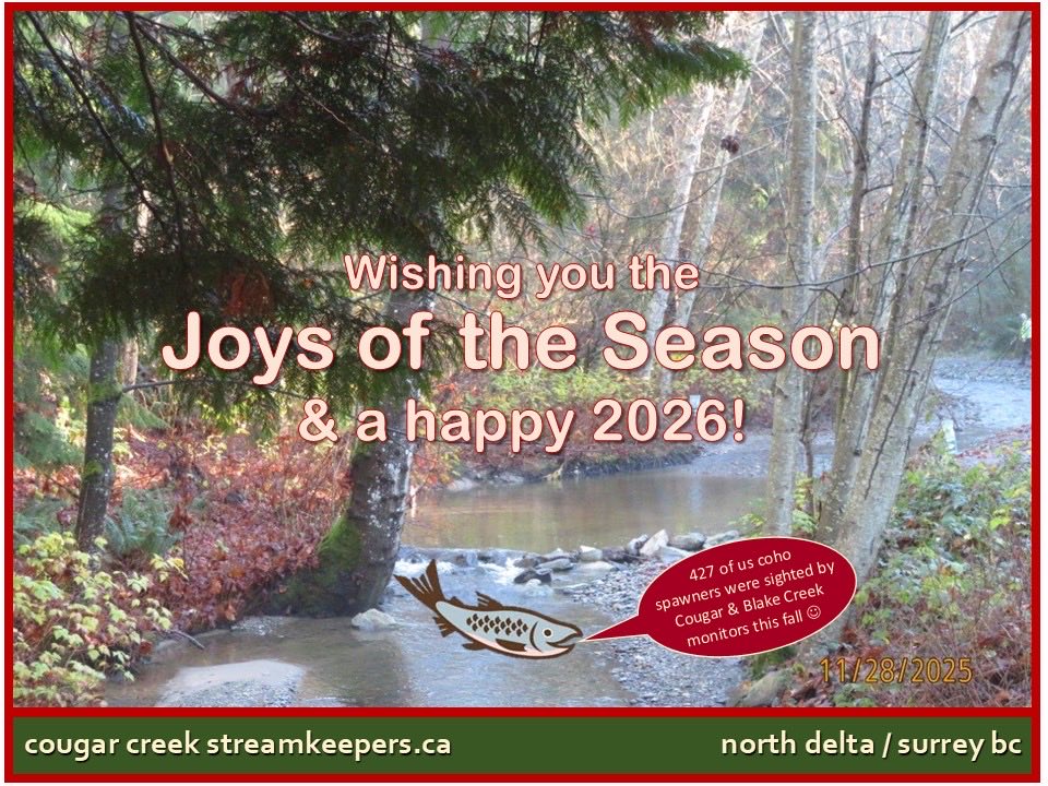 CougarCreekStreamkeepers tweet media