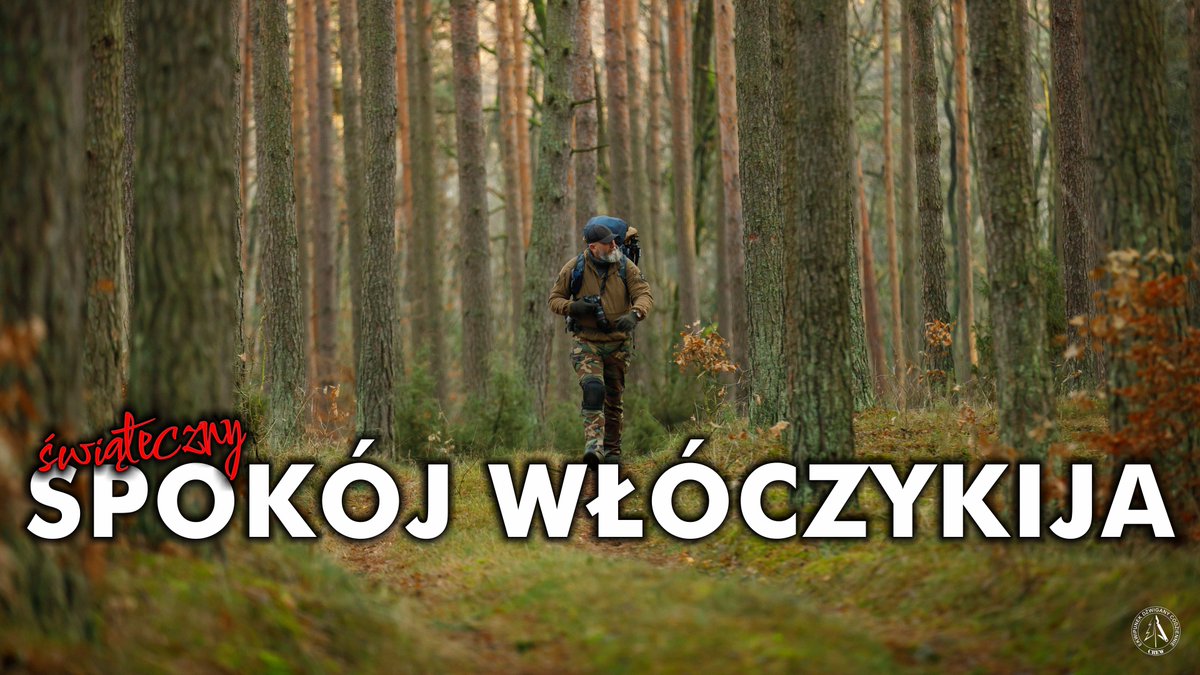 Prosty biwak solo - jesień w Borach: cisza, spokój i kolory #biwakowanie... youtu.be/rczd_lS2LMo?si… via <a href="/YouTube/">YouTube</a>