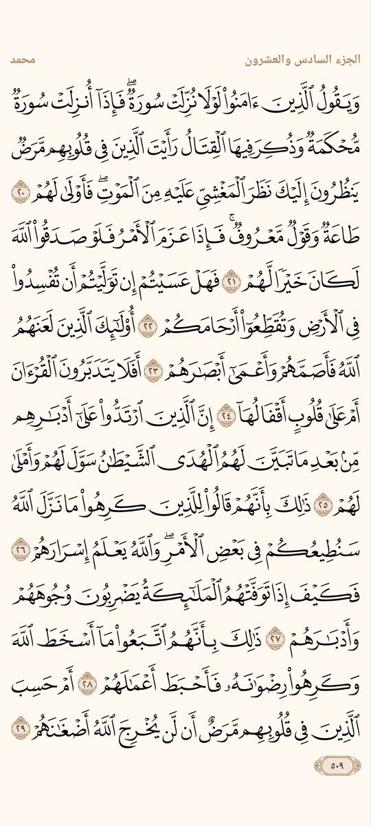 ورد الأربعاء