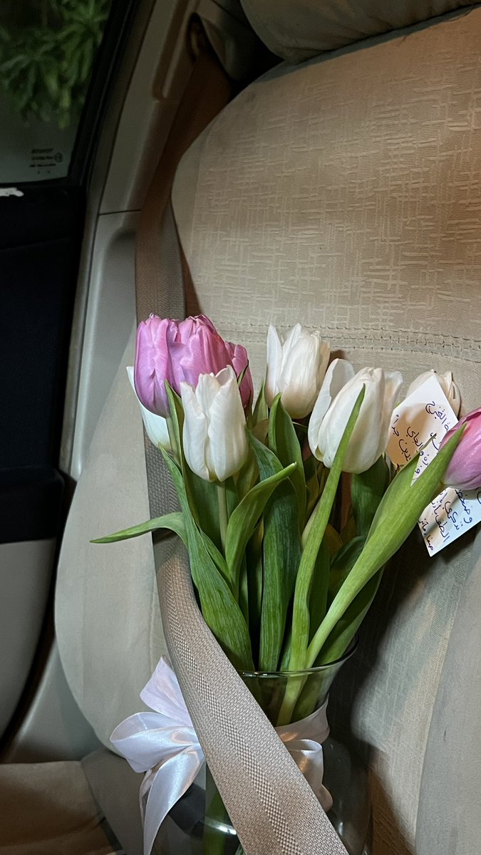 كذا الواحد يذاكر وهو مروق
ممتنه جداً 💗💗💗