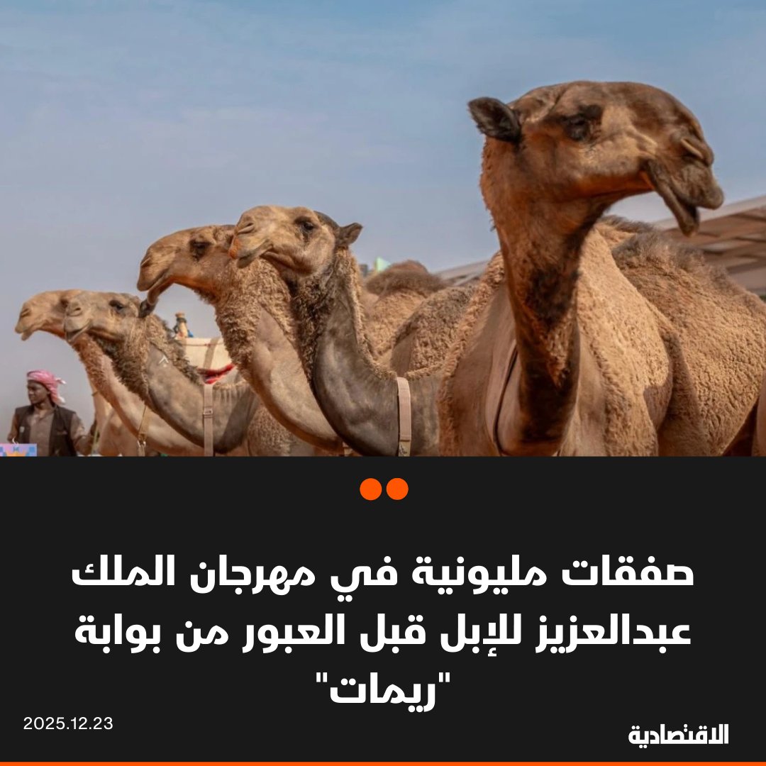 أسهمت قوة المنافسة في النسخة العاشرة من مهرجان الملك عبدالعزيز للإبل إلى ارتفاع القيمة السوقية للإبل التي تتسم بـ"الجمال"، ولا سيما في لون "الشعل" حيث أبرمت صفقات مليونية قبل العبور من بوابة "ريمات" إلى شبوك التحكيم، وفقا لملاك ومستثمرين تحدثوا لـ الاقتصادية. سعر الناقة التي تصنف الصدر في المنقية وصلت إلى مليون ريال، و"الفردية" تجاوزت 7 ملايين ريال. n6o6n 