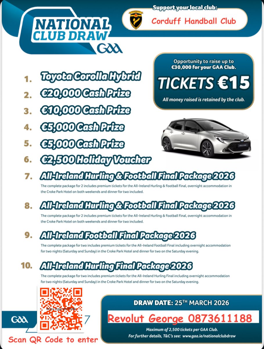 Corduff GAA Handball Club tweet media