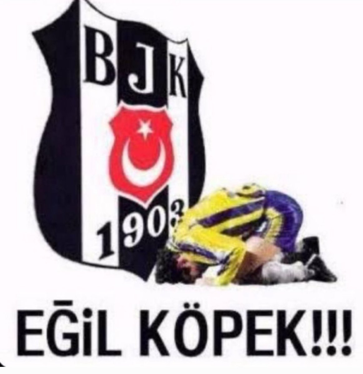 blessedblonded's tweet image. 