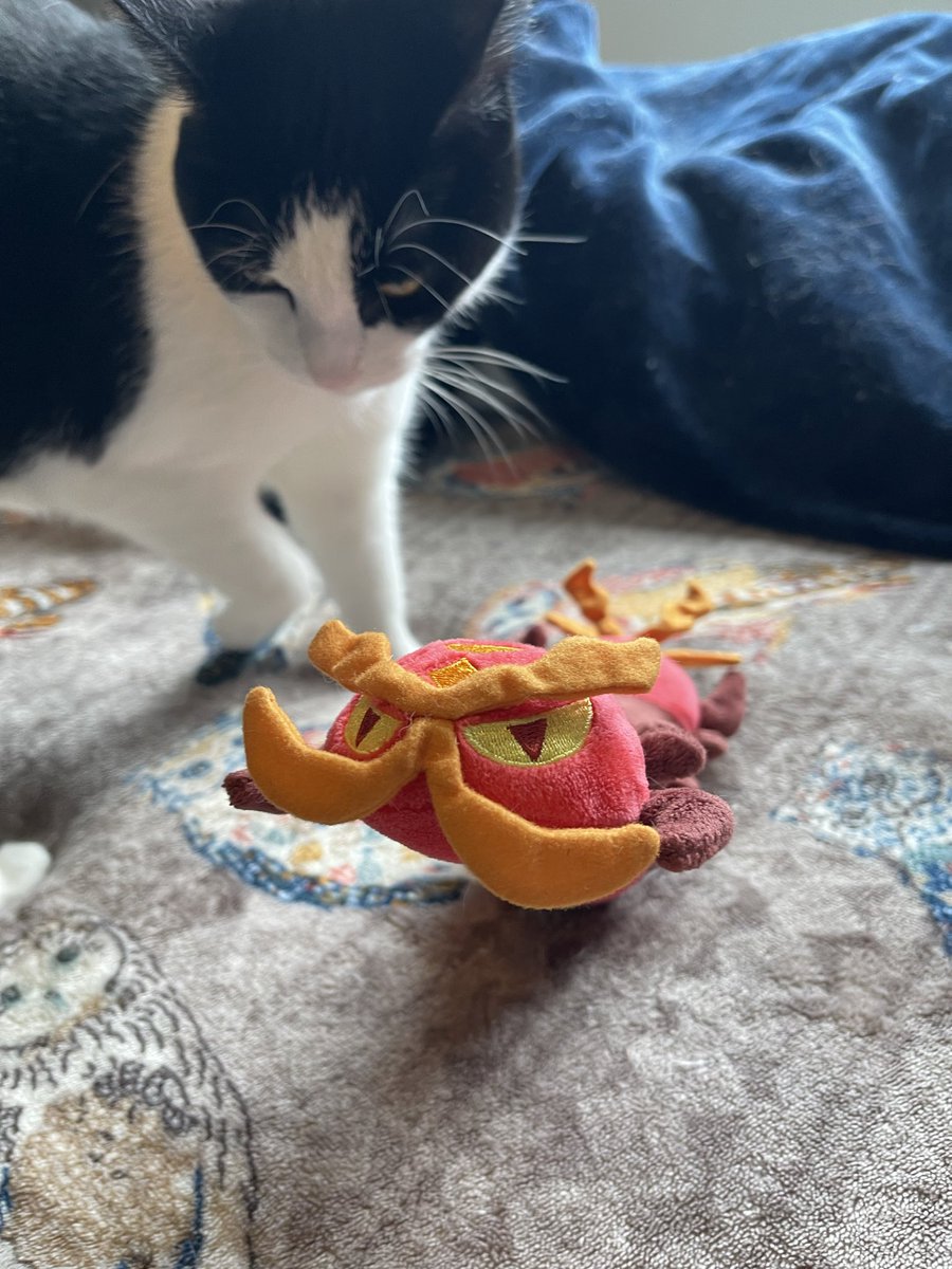 CrowBanjo's tweet image. My beautiful grandpa Centiskorch please and thank you,, not too sure what that other beast is,,,