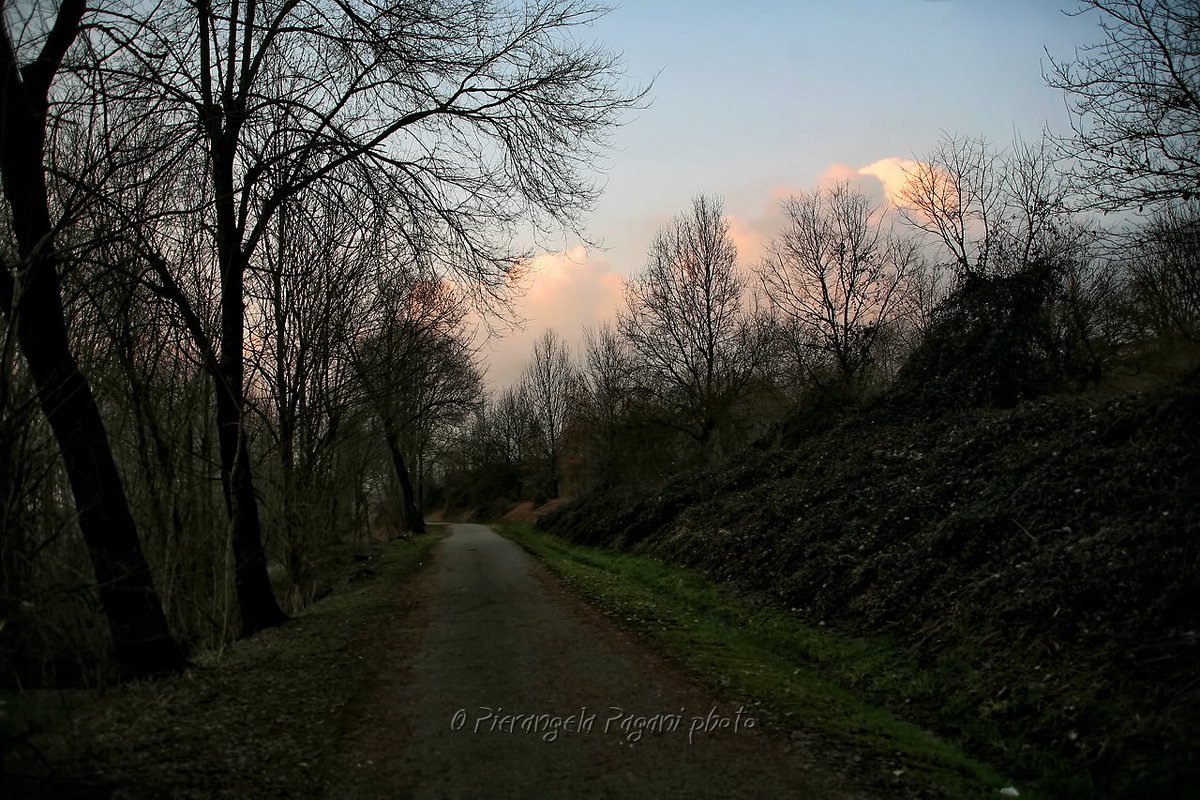 @ferrarisergio4 tweet media