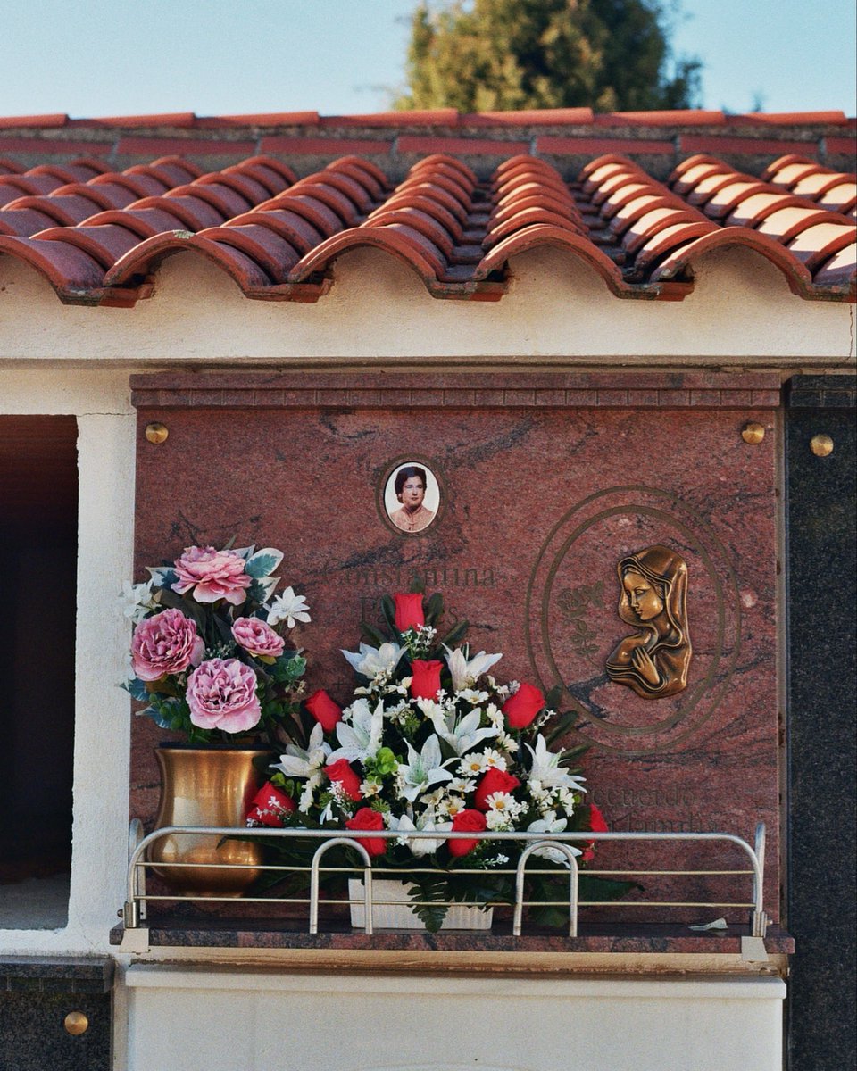 >_ Ain't No Grave
Torrejón el Rubio
2024 12 26

AS40
2423

instagram.com/txufowilson

#aintnograve #torrejonelrubio #canoneos500n
#kodakcolorplus #35mm